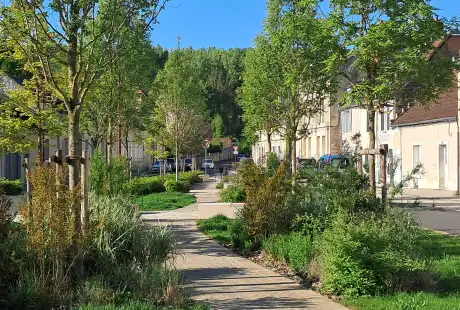 Savart Paysage - paysagiste urbaniste – Urbaniste Aisne – Paysagiste concepteur - Urbanisme - Paysagiste urbaniste Hauts de France – Urbaniste Hauts de France - Braine - Place Schoenenberger - Aisne - Hauts de France