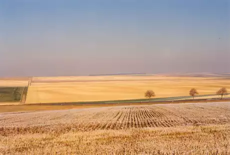 Savart Paysage – paysagiste urbaniste -  Colombey-les-Deux-Eglises – Haute-Marne – Grand Est – grand paysage – périmètre de classement - site classé - intégration paysagère – étude d’aménagement – développement durable – aménagement rural
