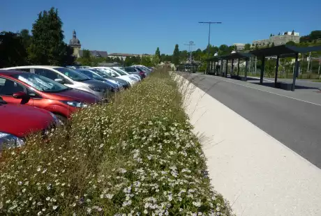 Savart Paysage - paysagiste urbaniste - Urbaniste Meuse - Paysagiste urbaniste Meuse - Bar-le-Duc - Meuse - Grand Est - pôle multimodal - aménagement public - parvis gare