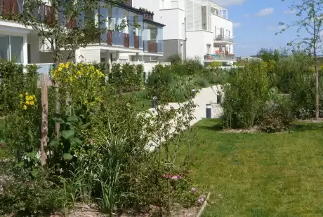 Savart Paysage- Paysagiste Urbaniste - Reims - Réma&, 39;Vert - Ecoquartier - Ilot C4 - Grand Est - Marne - Effort Rémois - développement durable