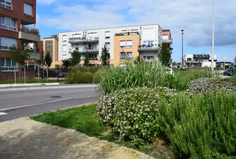 Savart Paysage – urbaniste paysagiste - urbaniste marne - paysagiste marne - Saint-Brice-Courcelles – Marne – Grand Est – parc public – développement durable – aménagement durable - biodiversité