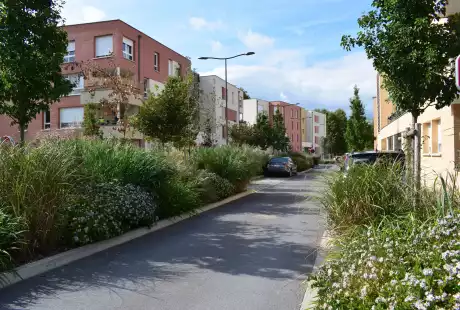 Savart Paysage – urbaniste paysagiste - urbaniste marne - paysagiste marne - Saint-Brice-Courcelles – Marne – Grand Est – parc public – développement durable – aménagement durable - biodiversité