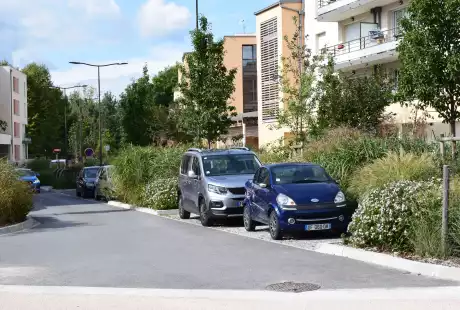 Savart Paysage – urbaniste paysagiste - urbaniste marne - paysagiste marne - Saint-Brice-Courcelles – Marne – Grand Est – parc public – développement durable – aménagement durable - biodiversité
