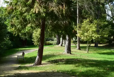 Savart Paysage – urbaniste paysagiste - urbaniste marne - paysagiste marne - Saint-Brice-Courcelles – Marne – Grand Est – parc public – développement durable – aménagement durable - biodiversité