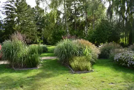 Savart Paysage – urbaniste paysagiste - urbaniste marne - paysagiste marne - Saint-Brice-Courcelles – Marne – Grand Est – parc public – développement durable – aménagement durable - biodiversité