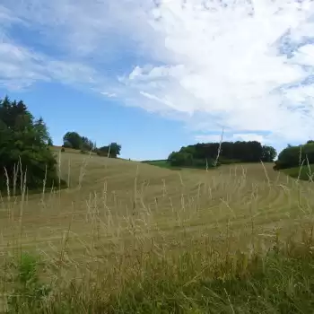 Projet éolien dans les Crêtes Pré-Ardennaise