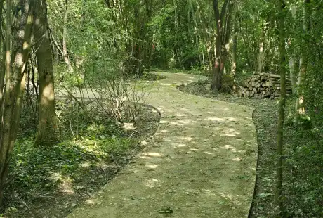 Savart paysage - maître d&, 39;oeuvre - paysagiste concepteur - paysagiste urbaniste - Marne - Recy - parc - ilot de fraicheur