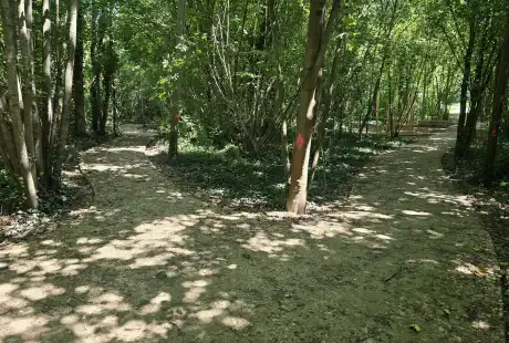 Savart paysage - maître d&, 39;oeuvre - paysagiste concepteur - paysagiste urbaniste - Marne - Recy - parc - ilot de fraicheur