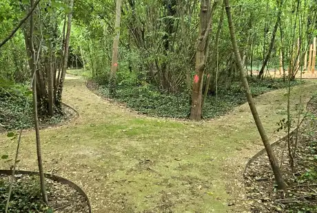 Savart paysage - maître d&, 39;oeuvre - paysagiste concepteur - paysagiste urbaniste - Marne - Recy - parc - ilot de fraicheur