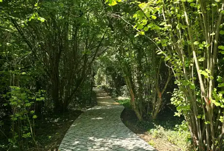 Savart paysage - maître d&, 39;oeuvre - paysagiste concepteur - paysagiste urbaniste - Marne - Recy - parc - ilot de fraicheur
