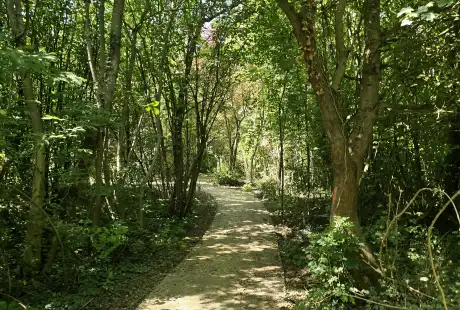Savart paysage - maître d&, 39;oeuvre - paysagiste concepteur - paysagiste urbaniste - Marne - Recy - parc - ilot de fraicheur