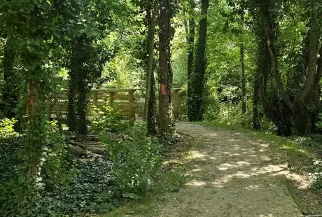 Savart paysage - maître d&, 39;oeuvre - paysagiste concepteur - paysagiste urbaniste - Marne - Recy - parc - ilot de fraicheur