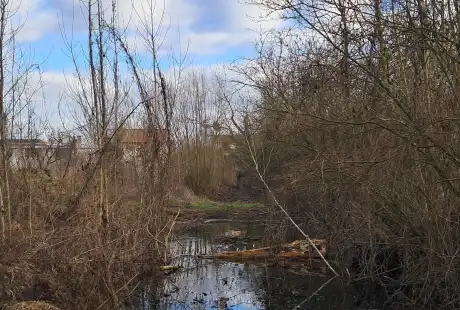 Savart Paysage - paysagiste urbaniste – paysagiste concepteur marne - maîtrise d&, 39;oeuvre – aménagement – zone humide - peupleraie - Saint-Martin-sur-le-Pré – Marne – Grand-Est
