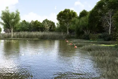 Savart Paysage - paysagiste urbaniste – paysagiste concepteur marne - maîtrise d&, 39;oeuvre – aménagement – zone humide - peupleraie - Saint-Martin-sur-le-Pré – Marne – Grand-Est