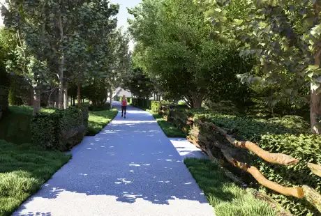 Savart Paysage - paysagiste urbaniste – paysagiste concepteur marne - maîtrise d&, 39;oeuvre – aménagement – zone humide - peupleraie - Saint-Martin-sur-le-Pré – Marne – Grand-Est