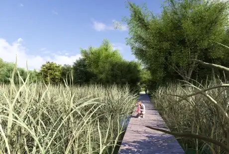 Savart Paysage - paysagiste urbaniste – paysagiste concepteur marne - maîtrise d&, 39;oeuvre – aménagement – zone humide - peupleraie - Saint-Martin-sur-le-Pré – Marne – Grand-Est