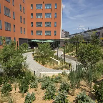 Réaménagement du jardin de Novotel Suite Clairmarais 