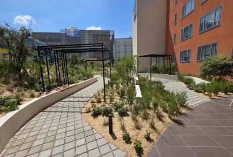 Savart Paysage - paysagiste urbaniste – paysagiste concepteur marne – Aménagement paysager - Novotel – Reims – Marne – Grand-Est