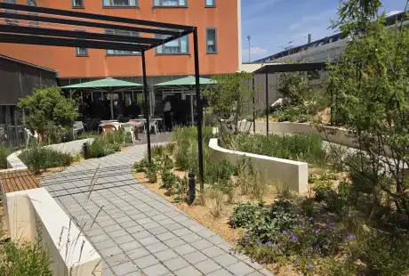 Savart Paysage - paysagiste urbaniste – paysagiste concepteur marne – Aménagement paysager - Novotel – Reims – Marne – Grand-Est