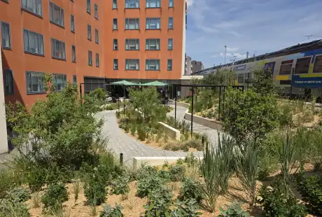 Savart Paysage - paysagiste urbaniste – paysagiste concepteur marne – Aménagement paysager - Novotel – Reims – Marne – Grand-Est