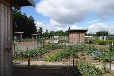 Savart paysage-Paysagiste concepteur-Paysagiste urbaniste-Paysagiste Hauts de france-Pecquencourt-Unesco-Lemay Sainte-Marie-la place centrale-Savart Paysage - urbaniste paysagiste-biodiversité-développement durable-jardins familiaux