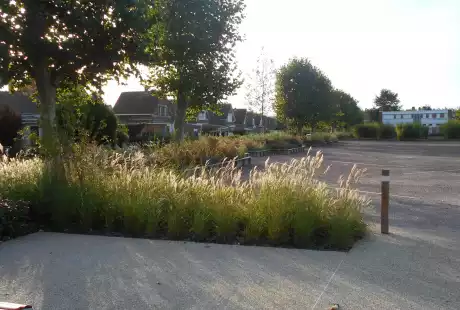 Pecquencourt-Unesco-Lemay Sainte-Marie-la place centrale-Savart Paysage - urbaniste paysagiste-biodiversité-développement durable-jardins familiaux