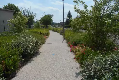 Savart paysage-Paysagiste concepteur-Paysagiste urbaniste-Paysagiste Hauts de france-Pecquencourt-Unesco-Lemay Sainte-Marie-la place centrale-Savart Paysage - urbaniste paysagiste-biodiversité-développement durable-jardins familiaux