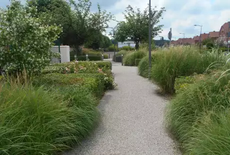 Savart paysage-Paysagiste concepteur-Paysagiste urbaniste-Paysagiste Hauts de france-Pecquencourt-Unesco-Lemay Sainte-Marie-la place centrale-urbaniste paysagiste-biodiversité-développement durable-jardins familiaux