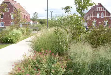 Pecquencourt-Unesco-Lemay Sainte-Marie-la place centrale-Savart Paysage - urbaniste paysagiste-biodiversité-développement durable-jardins familiaux