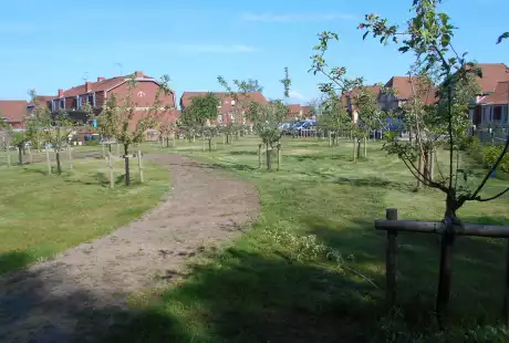 Pecquencourt-Unesco-Lemay Sainte-Marie-la place centrale-Savart Paysage - urbaniste paysagiste-biodiversité-développement durable-jardins familiaux