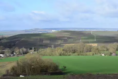 Savart Paysage - Aÿ Champagne - paysagiste urbaniste – marne - paysagiste urbaniste marne - étude de définition – règlement de lotissement – lotissement – ZAC – Grand Est
