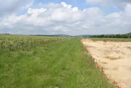 Savart Paysage - Aÿ Champagne - paysagiste urbaniste – marne - paysagiste urbaniste marne - étude de définition – règlement de lotissement – lotissement – ZAC – Grand Est