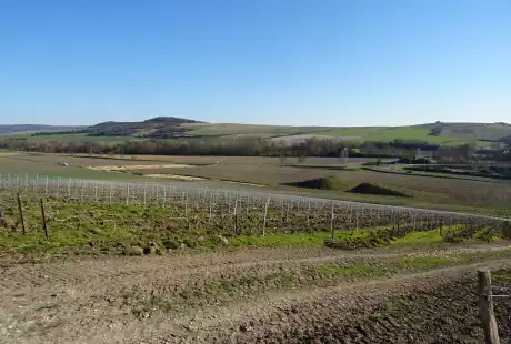 Savart Paysage - Aÿ Champagne - paysagiste urbaniste – marne - paysagiste urbaniste marne - étude de définition – règlement de lotissement – lotissement – ZAC – Grand Est