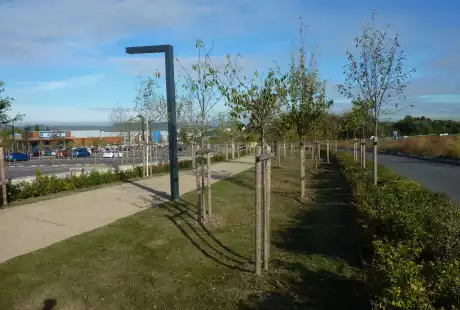 Savart Paysage - Yutz - Paysagiste urbaniste - Paysagiste urbaniste Moselle - Paysagiste urbaniste Grand Est - Urbaniste Moselle - Urbaniste - Paysagiste concepteur - ZAC Meilbourg - Aménagement urbain