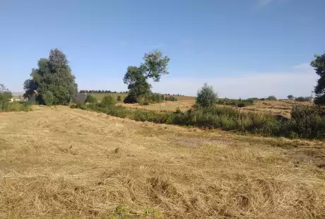Savart Paysage - Sézanne - Paysagiste Urbaniste - Paysagiste urbaniste Marne - Paysagiste Marne - Paysagiste Concepteur Marne - développement durable - zone naturelle - ru des auges