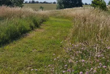 Savart Paysage - Sézanne - Paysagiste Urbaniste - Paysagiste urbaniste Marne - Paysagiste Marne - Paysagiste Concepteur Marne - développement durable - zone naturelle - ru des auges