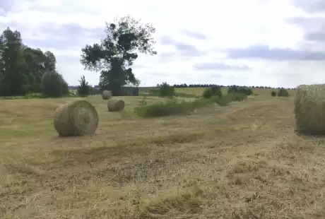 Savart Paysage - Sézanne - Paysagiste Urbaniste - Paysagiste urbaniste Marne - Paysagiste Marne - Paysagiste Concepteur Marne - développement durable - zone naturelle - ru des auges