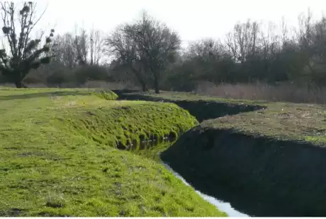 Savart Paysage - Sézanne - Paysagiste Urbaniste - Paysagiste urbaniste Marne - Paysagiste Marne - Paysagiste Concepteur Marne - développement durable - zone naturelle - ru des auges