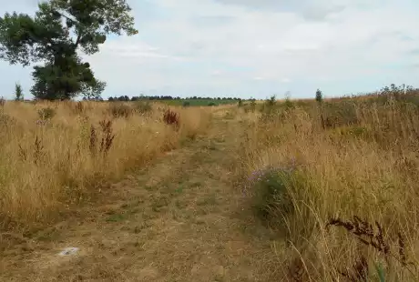 Savart Paysage - Sézanne - Paysagiste Urbaniste - Paysagiste urbaniste Marne - Paysagiste Marne - développement durable - zone naturelle - ru des auges