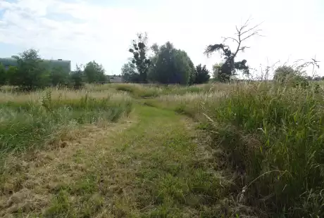 Savart Paysage - Sézanne - Paysagiste Urbaniste - Paysagiste urbaniste Marne - Paysagiste Marne - Paysagiste Concepteur Marne - développement durable - zone naturelle - ru des auges
