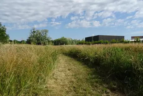 Savart Paysage - Sézanne - Paysagiste Urbaniste - Paysagiste urbaniste Marne - Paysagiste Marne - Paysagiste Concepteur Marne - développement durable - zone naturelle - ru des auges