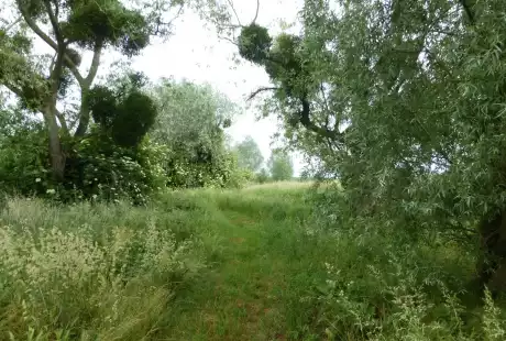 Savart Paysage - Sézanne - Paysagiste Urbaniste - Paysagiste urbaniste Marne - Paysagiste Marne - Paysagiste Concepteur Marne - développement durable - zone naturelle - ru des auges