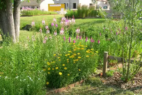 Savart Paysage_Sézanne_prix-d’or-victoires-du-paysage-2008_paysagiste-urbaniste_gestion-différenciée_aménagement-durable_paysagiste-marne_paysagiste-urbaniste-marne