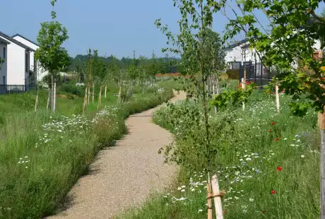 Savart Paysage – paysagiste urbaniste – Urbaniste Marne - Maitre d oeuvre urbaniste Marne - Paysagiste Marne - Fontoy  – aménagement durable – urbanisme – éco-quartier – Pogin