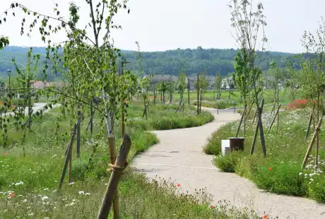 Savart Paysage – paysagiste urbaniste – Urbaniste Marne - Maitre d oeuvre urbaniste Marne - Paysagiste Marne - Fontoy  – aménagement durable – urbanisme – éco-quartier – Pogin