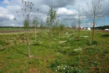 Savart Paysage – paysagiste urbaniste – Urbaniste Marne - Maitre d oeuvre urbaniste Marne - Paysagiste Marne - Fontoy  – aménagement durable – urbanisme – éco-quartier – Pogin