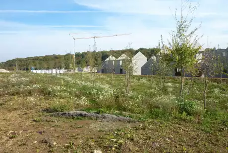 Savart Paysage – paysagiste urbaniste – Urbaniste Marne - Maitre d oeuvre urbaniste Marne - Paysagiste Marne - Fontoy  – aménagement durable – urbanisme – éco-quartier – Pogin