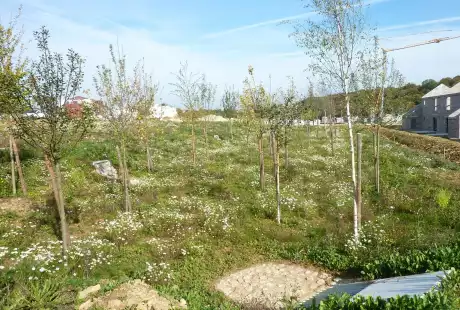 Savart Paysage – paysagiste urbaniste – Urbaniste Marne - Maitre d oeuvre urbaniste Marne - Paysagiste Marne - Fontoy  – aménagement durable – urbanisme – éco-quartier – Pogin