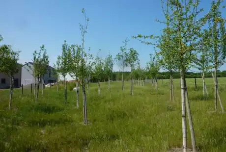 Savart Paysage – paysagiste urbaniste – Urbaniste Marne - Maitre d oeuvre urbaniste Marne - Paysagiste Marne - Fontoy  – aménagement durable – urbanisme – éco-quartier – Pogin