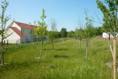 Savart Paysage – paysagiste urbaniste – Urbaniste Marne - Maitre d oeuvre urbaniste Marne - Paysagiste Marne - Fontoy  – aménagement durable – urbanisme – éco-quartier – Pogin